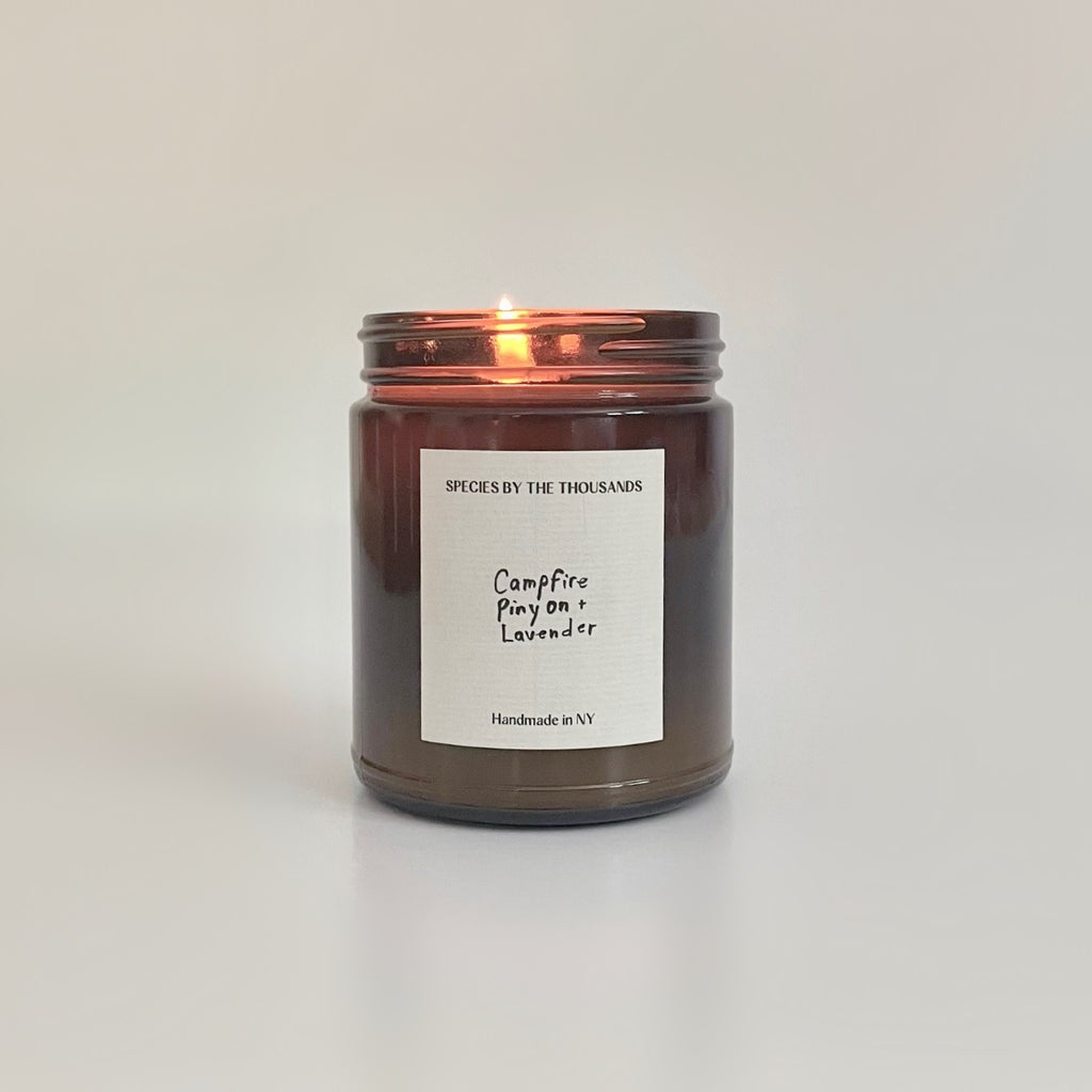 Species by the Thousands - Campfire, Pinyon + Lavender Candle