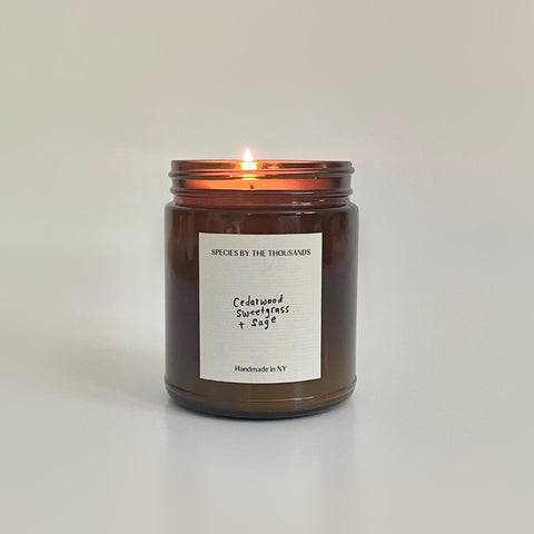 Species by the Thousands - Cedarwood Sweetgrass + Sage Candle