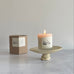 Species by the Thousands - MELLOW MOUNTAIN Earth, Smoke, and Leaves Candle