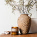 PF Candle Co. - Amber & Moss Candle