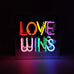Locomocean - Love Wins Neon Sign